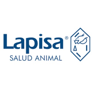 Lapisa