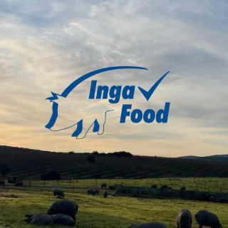 ANTONIO RASTROJO ORTIGOSA