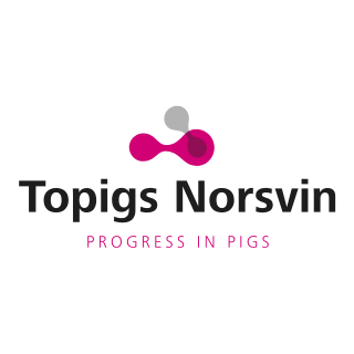 Topigs Norsvin Colombia 