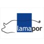 LAMAPOR S.A