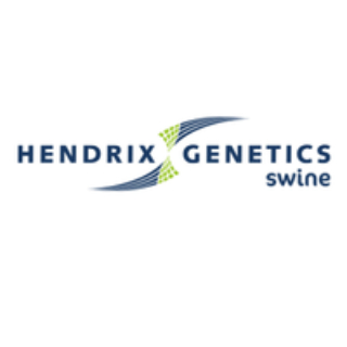 Hendrix Genetics Swine