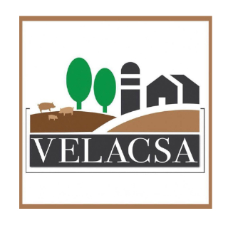 Velacsa