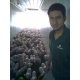 David Contreras Tinoco