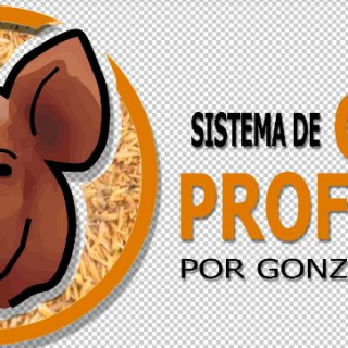 Gonzalo Zalles Limpias