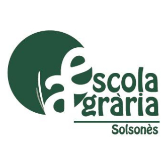 Alba Reguant Aubets