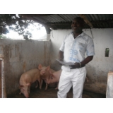 viviane Tchidime