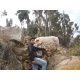 andony aclari torres
