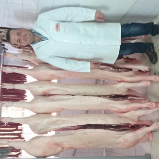 manuel aranda picadizo