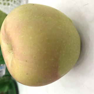 豆豆 贾
