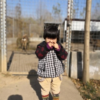 伟民 李