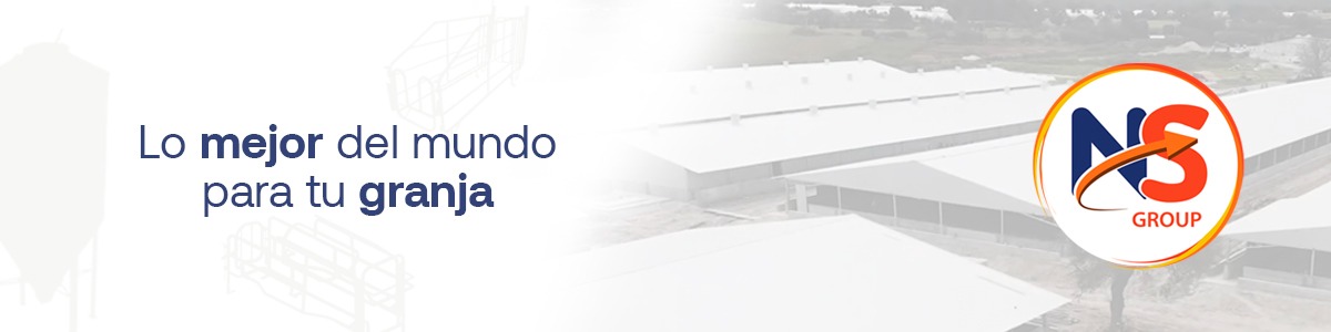 NS Group - 3tres3 México, la página del Cerdo